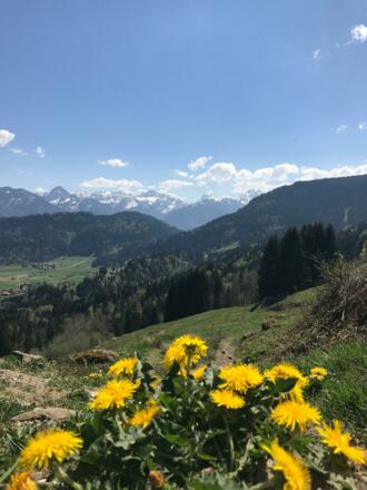 Aussicht auf das Allgäuer Dreigestirn &quot;Trettach, Mädelegabel und Hochfrottspitze&quot; 