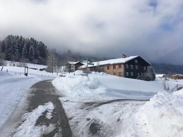 Bauernhaus bei Bauhof