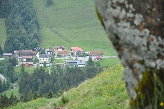 Auf dem Weg zum Gelbhansekopf