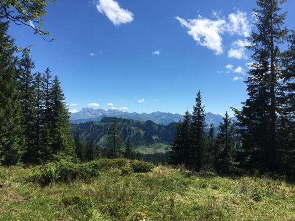 Allgäuer Hauptkamm
