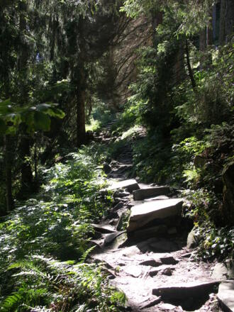 Unser Panoramaweg über Stock und Stein. 