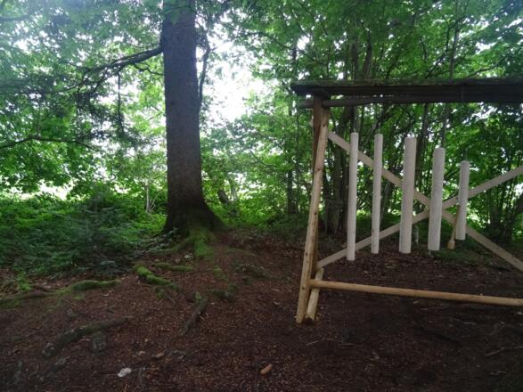 Hier klingt der Wald