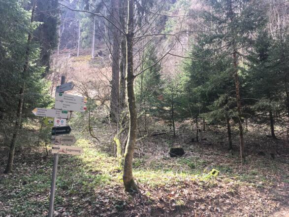 Sagenweg zur Sturmannshöhle