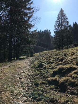 Ein gut präparierter Weg führ zum Sonderdorfer Kreuz