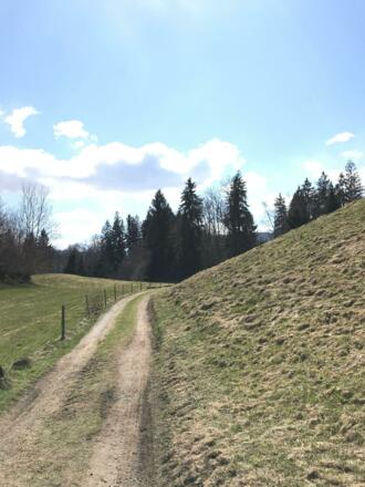 Feldweg zurück nach Bolsterlang