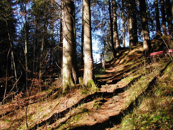 Schiessbachtobel