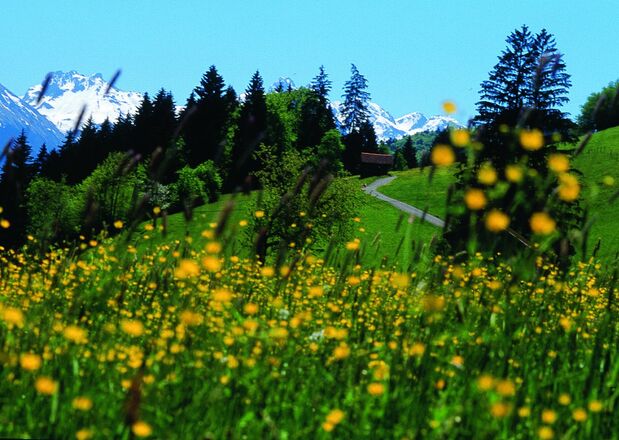 Wanderweg von Maderhalm nach Fischen 