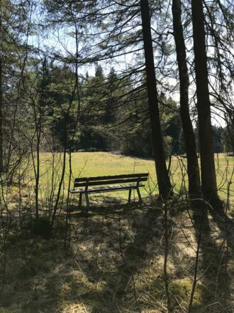 Ruhebank im Wald