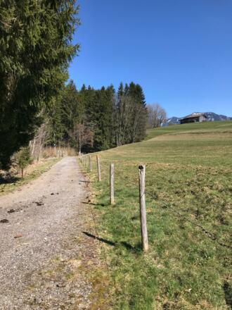 Amselweg Richtung Maderhalm oder Oberdorf