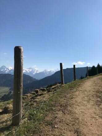 Blick auf das &quot;Allgäuer Dreigestirn&quot; - Trettach, Mädelegabel und Hochfrottspitze