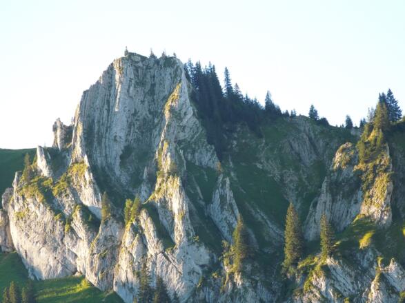 Blick zum Besler