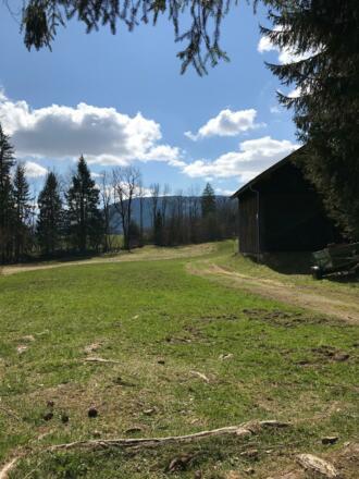Über Wiesenwege führt der Weg zurück nach Bolsterlang