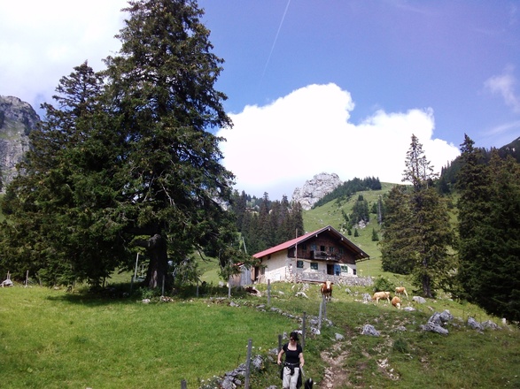 Wendelsteiner Alm
