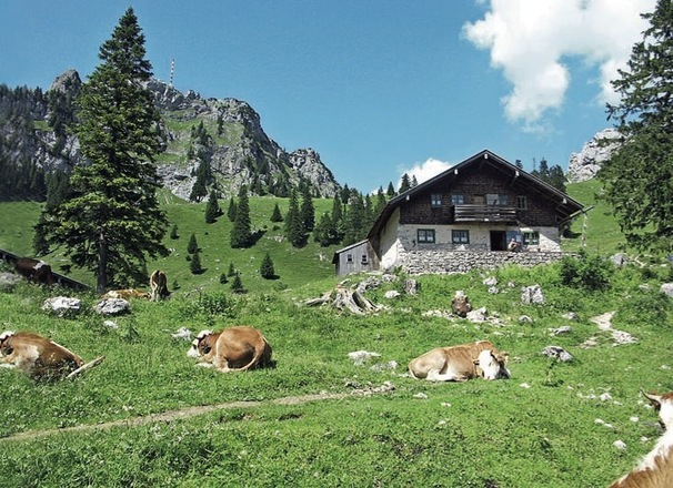 Bewirtschaftete Hütte auf der Wendelstein-Alm.