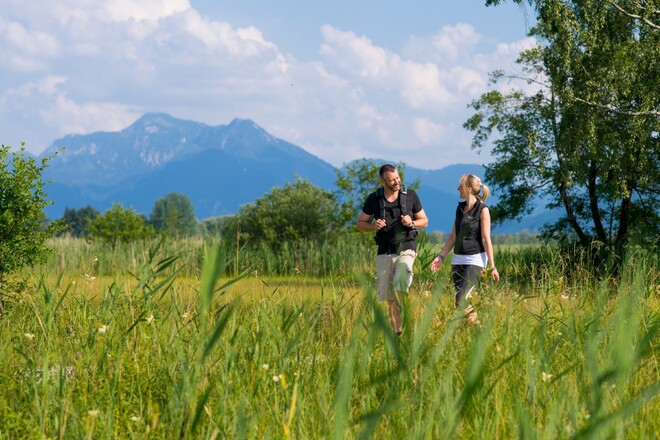 Wandern am Chiemseerundweg 