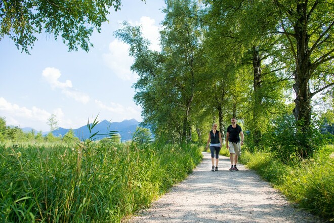 Wandern am Chiemseerundweg