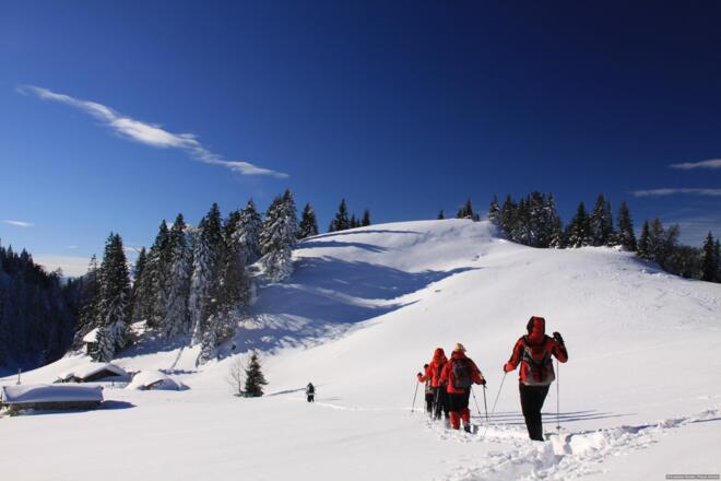 Bei den Laubensteinalmen