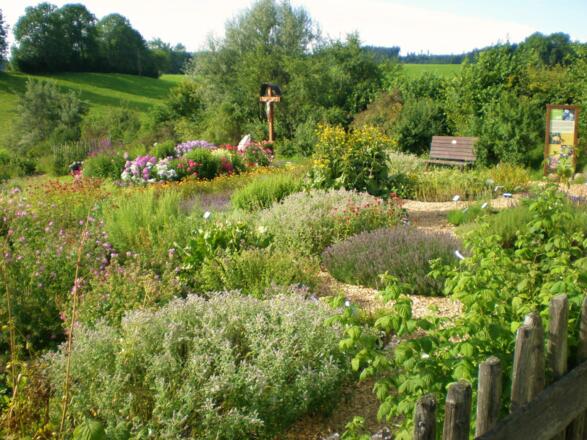 Kräutergarten in Wilhams