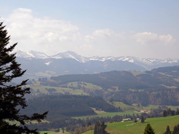 Sicht vom Alpkönigblick auf die Nagelfluhkette, Allgäuer Alpen