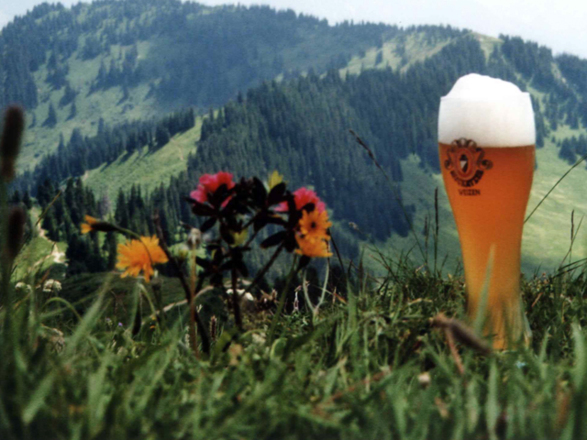 Riedberger Horn