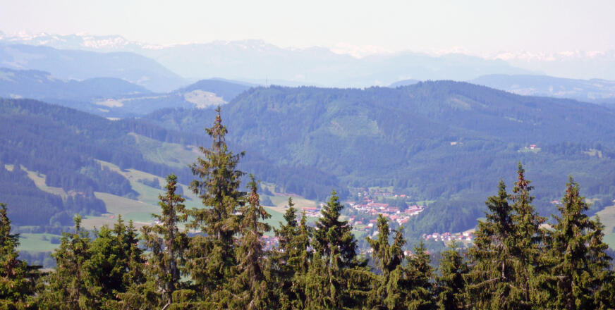 Blick auf Wengen mit Alpkette im Hintergrund