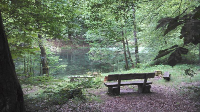 Bomigsee bei Rothenbuch