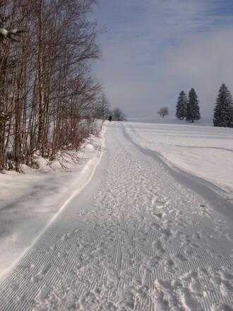 Winterlandschaft am Hanusel Winterwanderweg (6)
