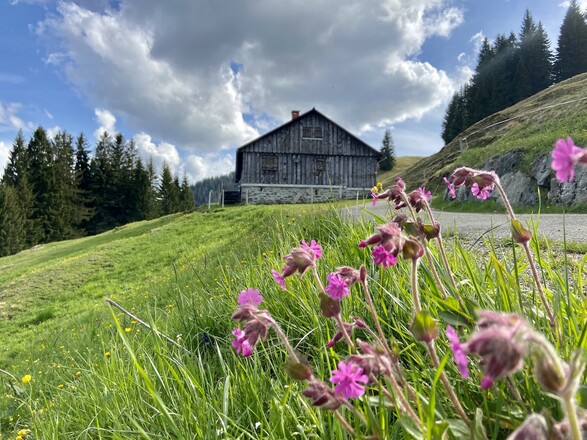 Rundweg ums Ofterschwanger Horn