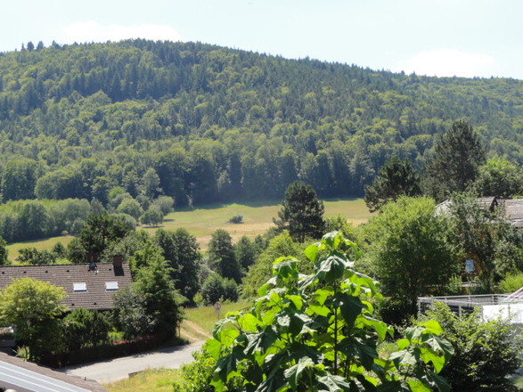 Ferienwohnung Weinbergblick