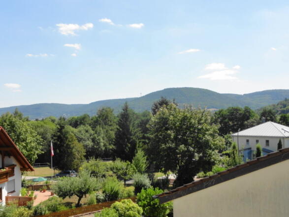 Ferienwohnung Weinbergblick