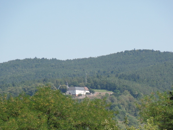 Ferienwohnung Weinbergblick