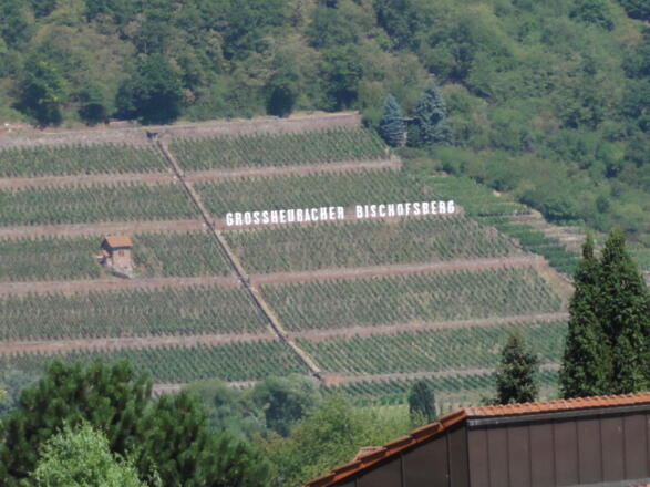 Ferienwohnung Weinbergblick