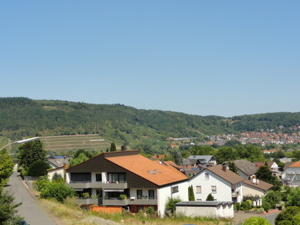 Ferienwohnung Weinbergblick