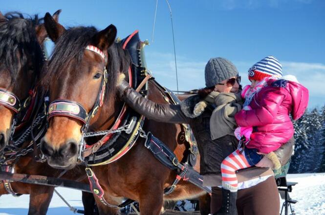 Pferdeschlittenfahrt in Abtenau.