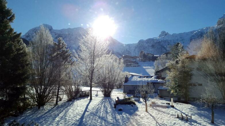 Garten im Winter