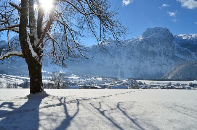 abtenau_winter310115014