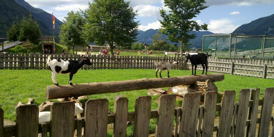 Dorf der Tiere Abersee