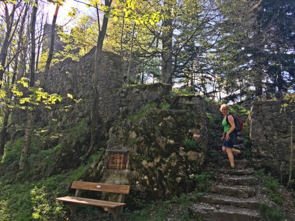 Ruine Wartenfels