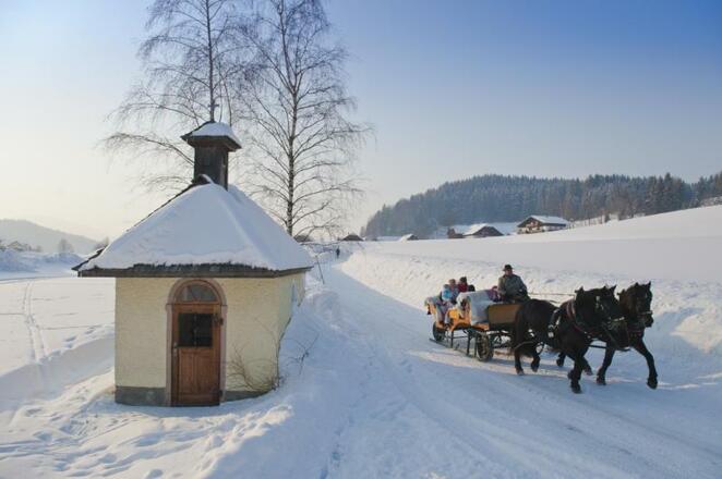 Pferdeschlittenfahrten durch die Winterlandschaft