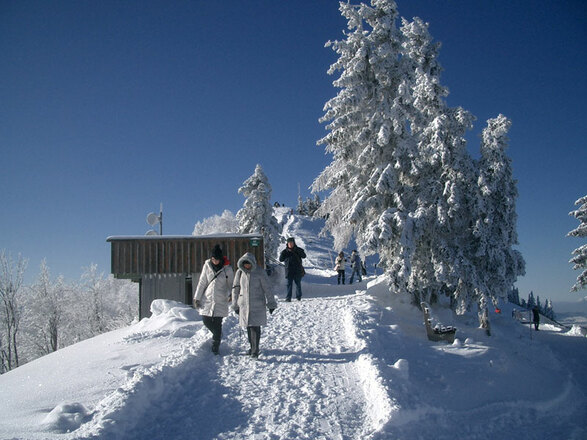 Winterwandern