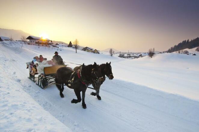 Pferdeschlittenfahrten Schmiedbauernhof