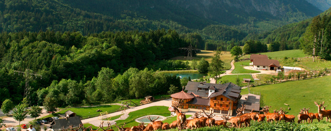 Wildpark Kleefeld
