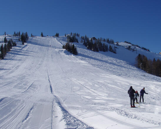 Zwölferhorn
