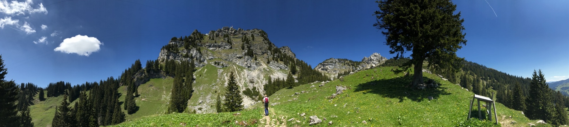 Panorama