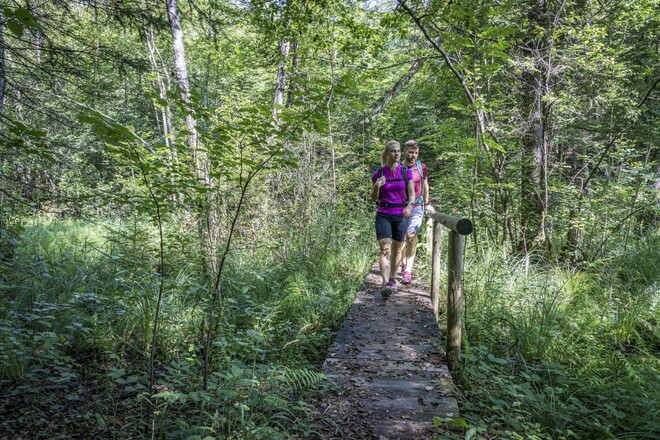 Wandern in den Wäldern der Eggstätt-Hemhofer Seenplatte
