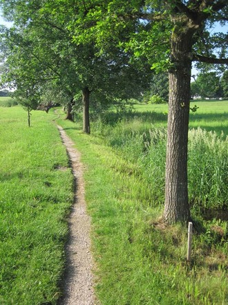 Naturlehrpfad am Schwarzbachmoos