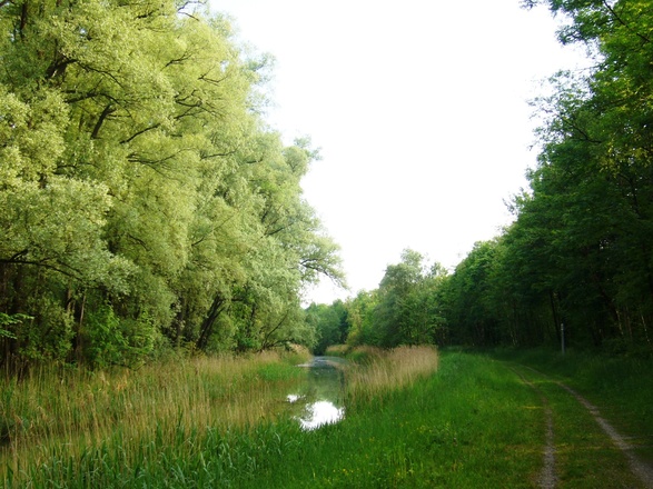 Attlerau