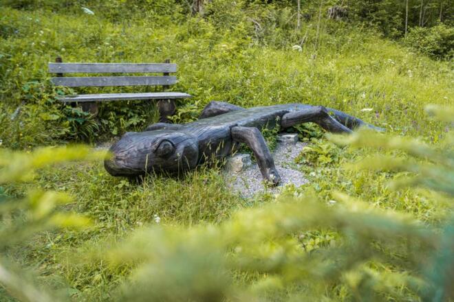 "Salamanderbank" bei der Bedarfshaltestelle Aipl der Wendelstein-Zahnradbahn