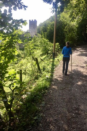 Wanderung zur Burgruine Falkenstein