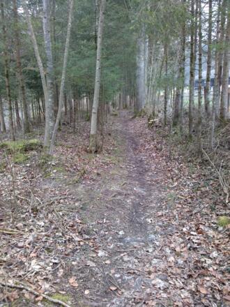 Abenteuerpfad an der Mangfall